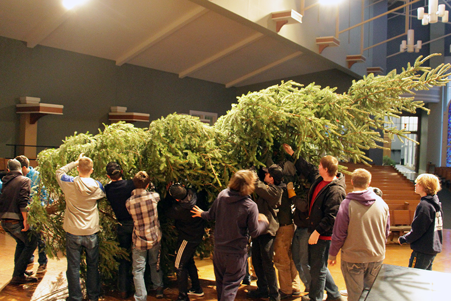 Behind the scenes with the Christmas trees St. Paul Lutheran Church